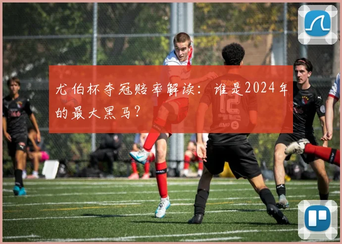 尤伯杯夺冠赔率解读：谁是2024年的最大黑马？